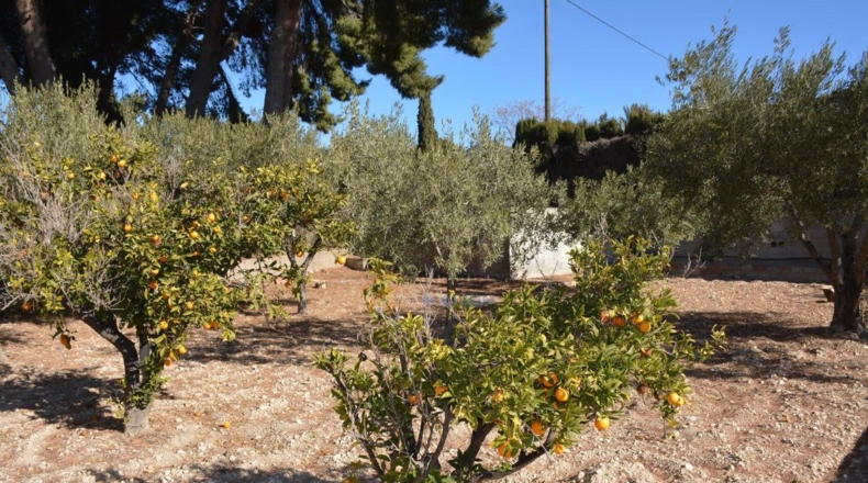 Alicante - Elda - 80m2