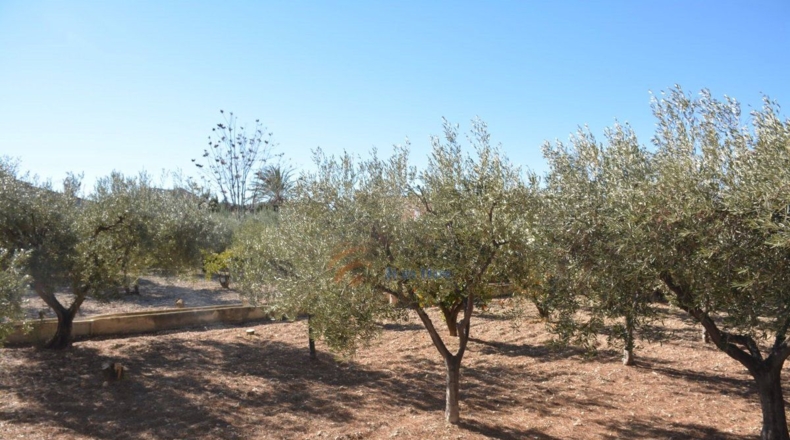 Alicante - Elda - 80m2