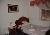 Village house for sale in Elda ref: TR38943 photo