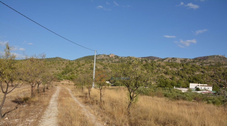Alicante - Elda - 58000m2