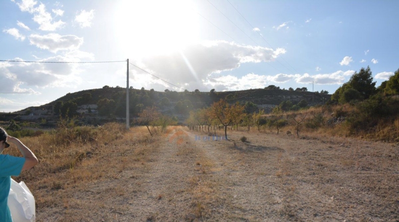 Alicante - Elda - 58000m2