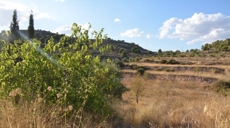Alicante - Elda - 58000m2