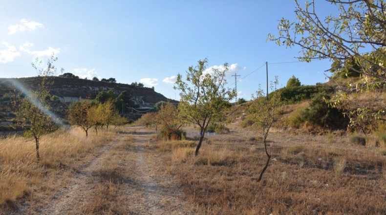 Alicante - Elda - 58000m2