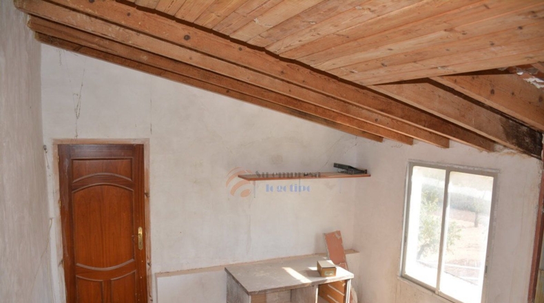 Alicante - la Romana - 950m2