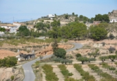 Rural estate for sale in Petrer ref: TR55503 photo