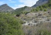 Rural estate for sale in Petrer ref: TR55503 photo
