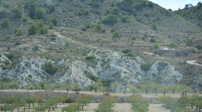 Alicante - Petrer - 27000m2