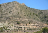 Rural estate for sale in Petrer ref: TR55503 photo