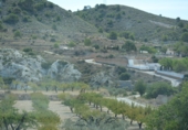 Rural estate for sale in Petrer ref: TR55503 photo
