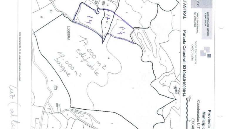 Alicante - Petrer - 27000m2