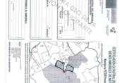 Rural estate for sale in Petrer ref: TR55503 photo