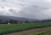 Sòl urbà en venda a Carral ref.: TR109835 foto