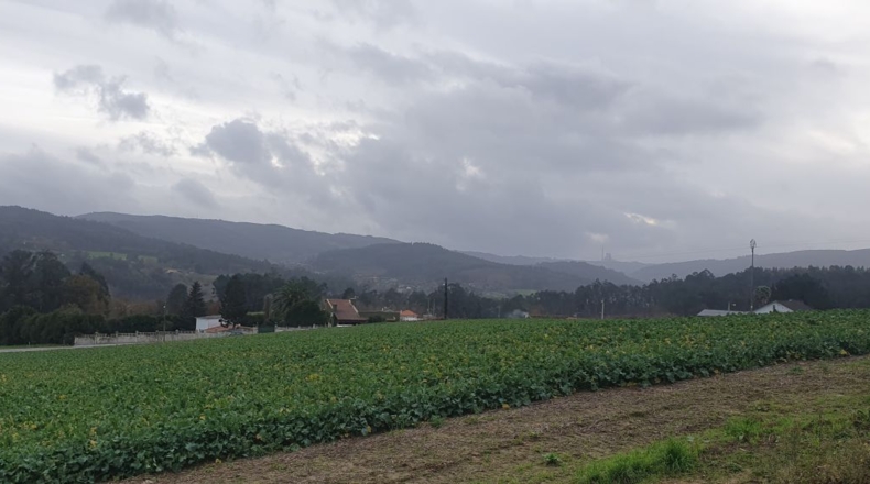 La Coruña - Ameás - 810m2