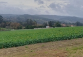 Urban land for sale in Ar ref: TR65767 photo