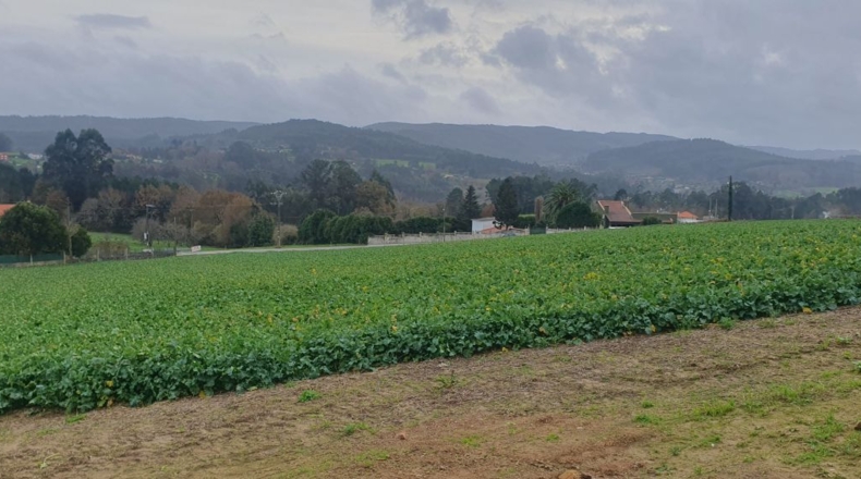 La Coruña - O Rueiro - 825m2