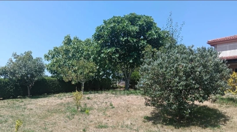 La Coruna - A Ameixeira - 5000m2