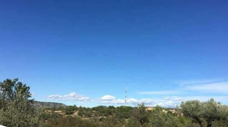 Castellón - San Juan de Moró - 10208m2