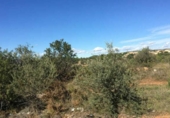 Terreny no urbanitzable en venda a Sant Joan de Moró ref.: TR201865 foto