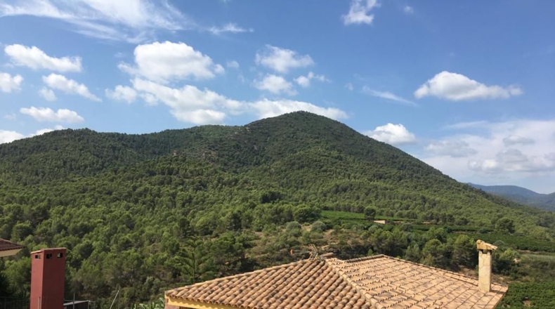 Castellón - Onda - 650m2