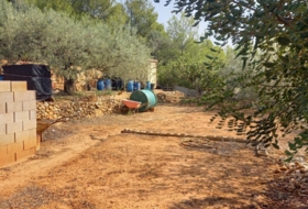 Foto 13