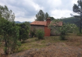 Rural estate for sale in Alcudia de Veo ref: TR287078 photo