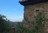 Rural estate for sale in Alcudia de Veo ref: TR287078 photo