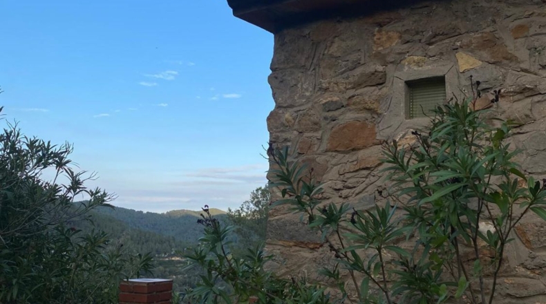 Кастельон - Alcudia de Veo - 11355m2