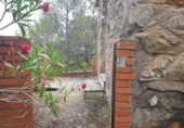 Rural estate for sale in Alcudia de Veo ref: TR287078 photo