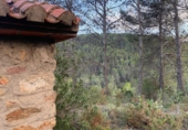 Rural estate for sale in Alcudia de Veo ref: TR287078 photo