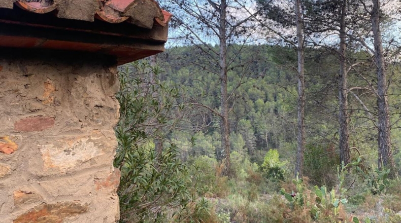 Кастельон - Alcudia de Veo - 11355m2