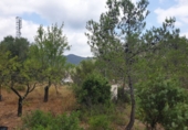Rural estate for sale in Alcudia de Veo ref: TR287078 photo