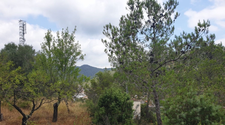 Кастельон - Alcudia de Veo - 11355m2