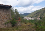 Rural estate for sale in Alcudia de Veo ref: TR287078 photo