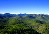 Rural estate for sale in Alcudia de Veo ref: TR287078 photo