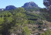Terreny no urbanitzable en venda a Benissa ref.: TR252879 foto