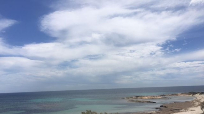 Murcia - Cartagena - 900m2