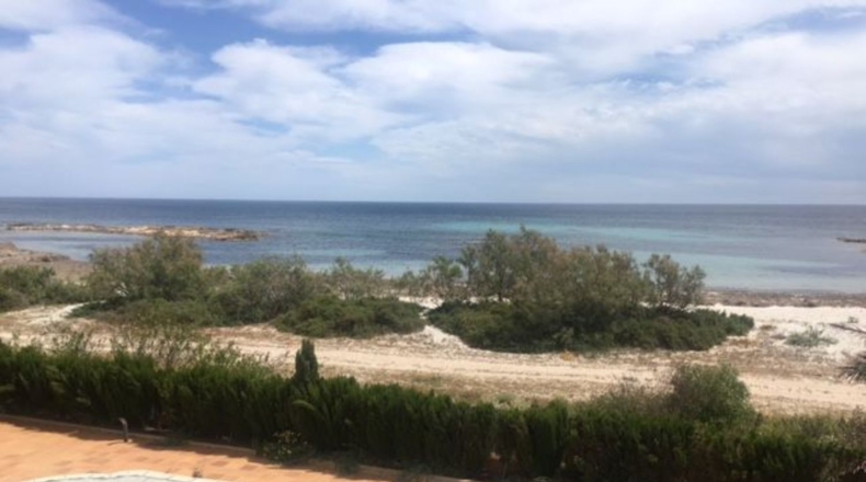 Murcia - Cartagena - 900m2