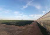 Земля на продажу у города Torre-Pacheco Фото