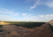 Земля на продажу у города Torre-Pacheco Фото