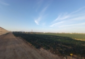 Земля на продажу у города Torre-Pacheco Фото