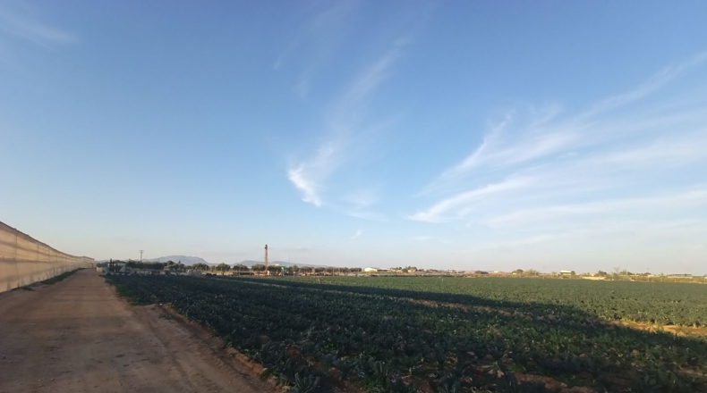 Murcia - Torre-Pacheco - 12109m2