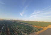 Земля на продажу у города Torre-Pacheco Фото
