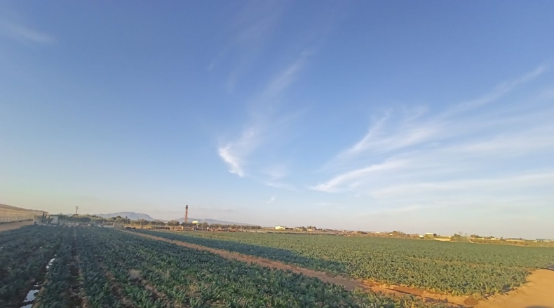 Murcia - Torre-Pacheco - 12109m2