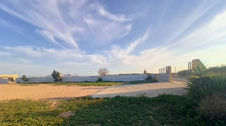 Murcia - Torre-Pacheco - 15052m2