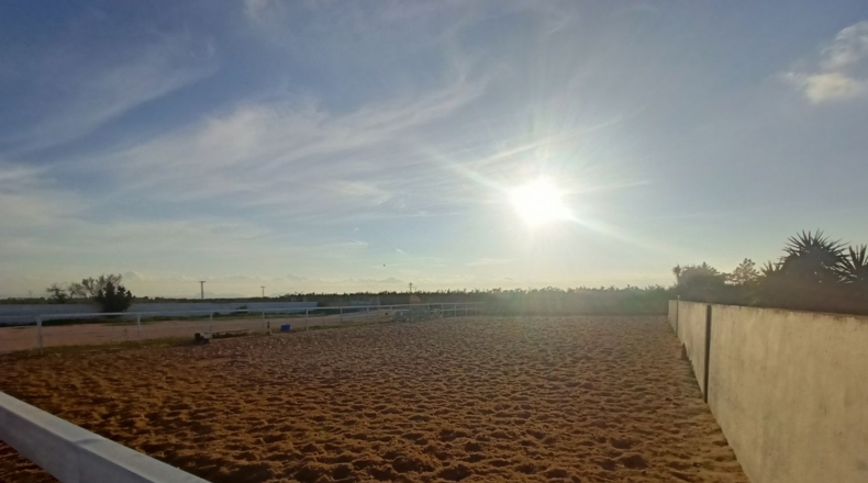 Murcia - Torre-Pacheco - 15052m2