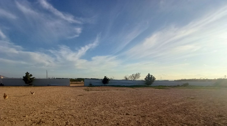 Murcia - Torre-Pacheco - 15052m2