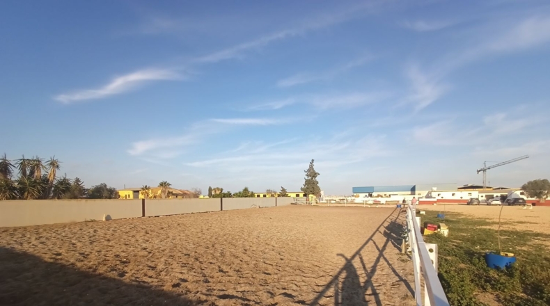Murcia - Torre-Pacheco - 15052m2