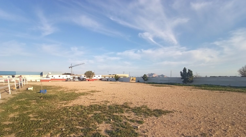 Murcia - Torre-Pacheco - 15052m2