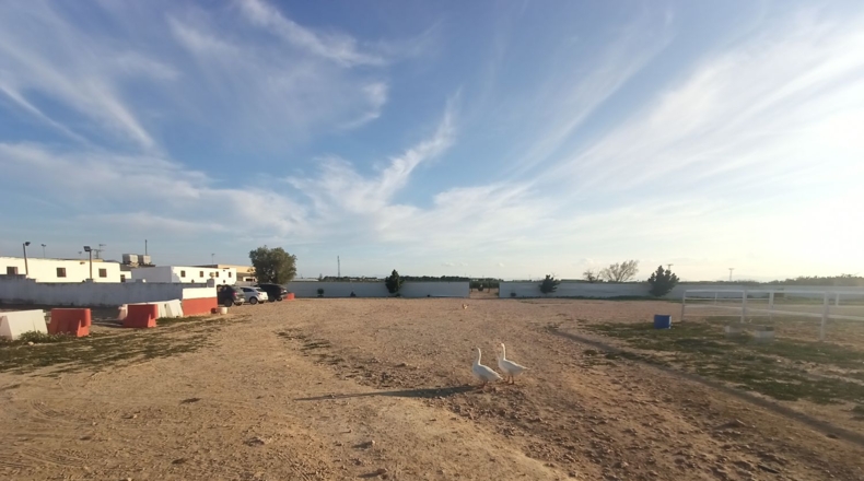 Murcia - Torre-Pacheco - 15052m2
