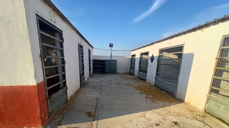 Murcia - Torre-Pacheco - 15052m2